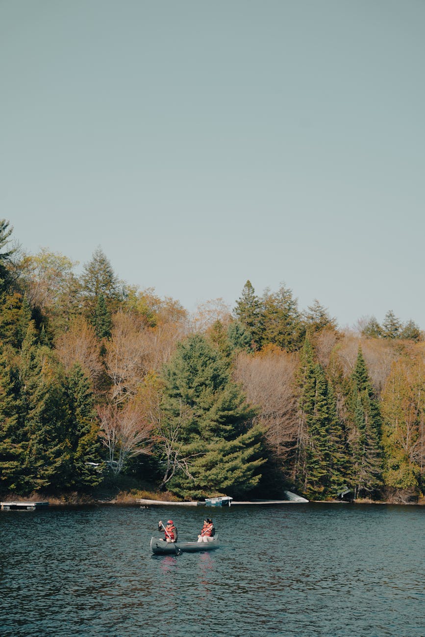 Two people canoeing on a calm lake surrounded by lush trees on a clear day.