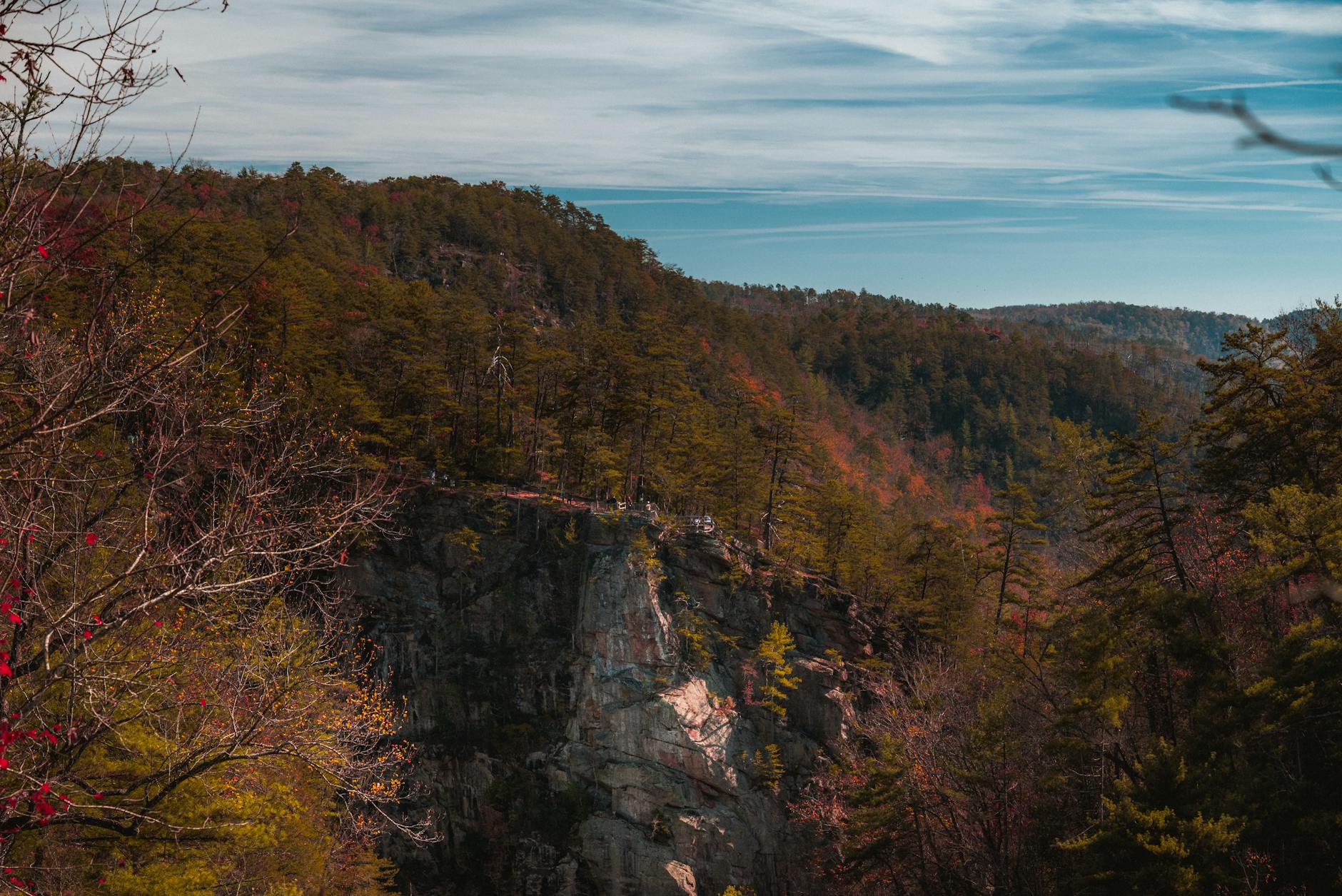 Stunning autumn scenery of a verdant canyon under a bright blue sky. Perfect for nature and travel enthusiasts.