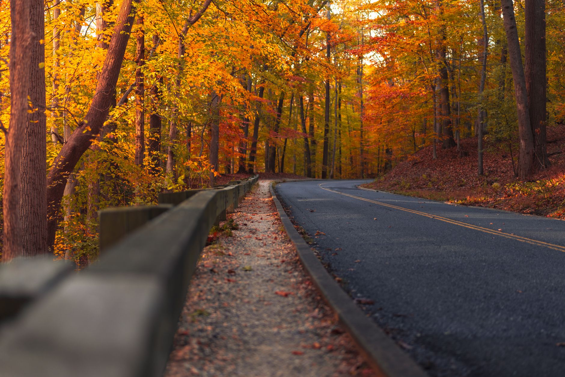 When Is the Best Time to See Fall Foliage in the Poconos? Insider Guide