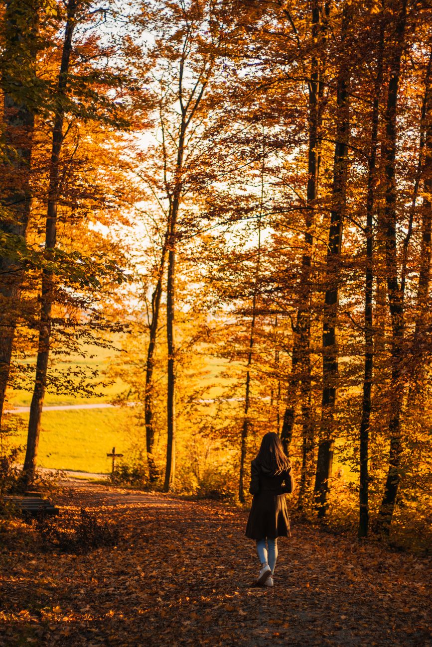 A woman walks through a vibrant autumn forest, surrounded by golden leaves.