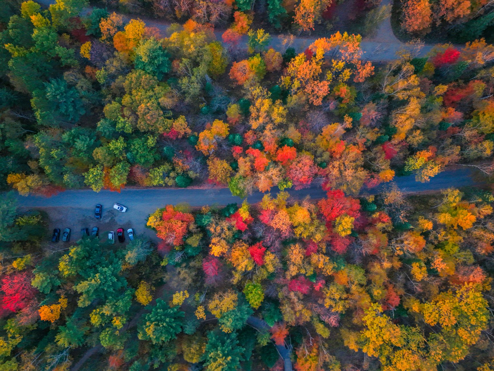 Stunning aerial view of a colorful autumn forest with parked cars along a road.