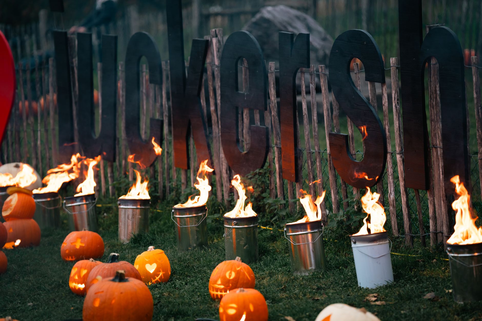 Glowing jack-o'-lantern in a spooky outdoor setting, perfect for Halloween themes.