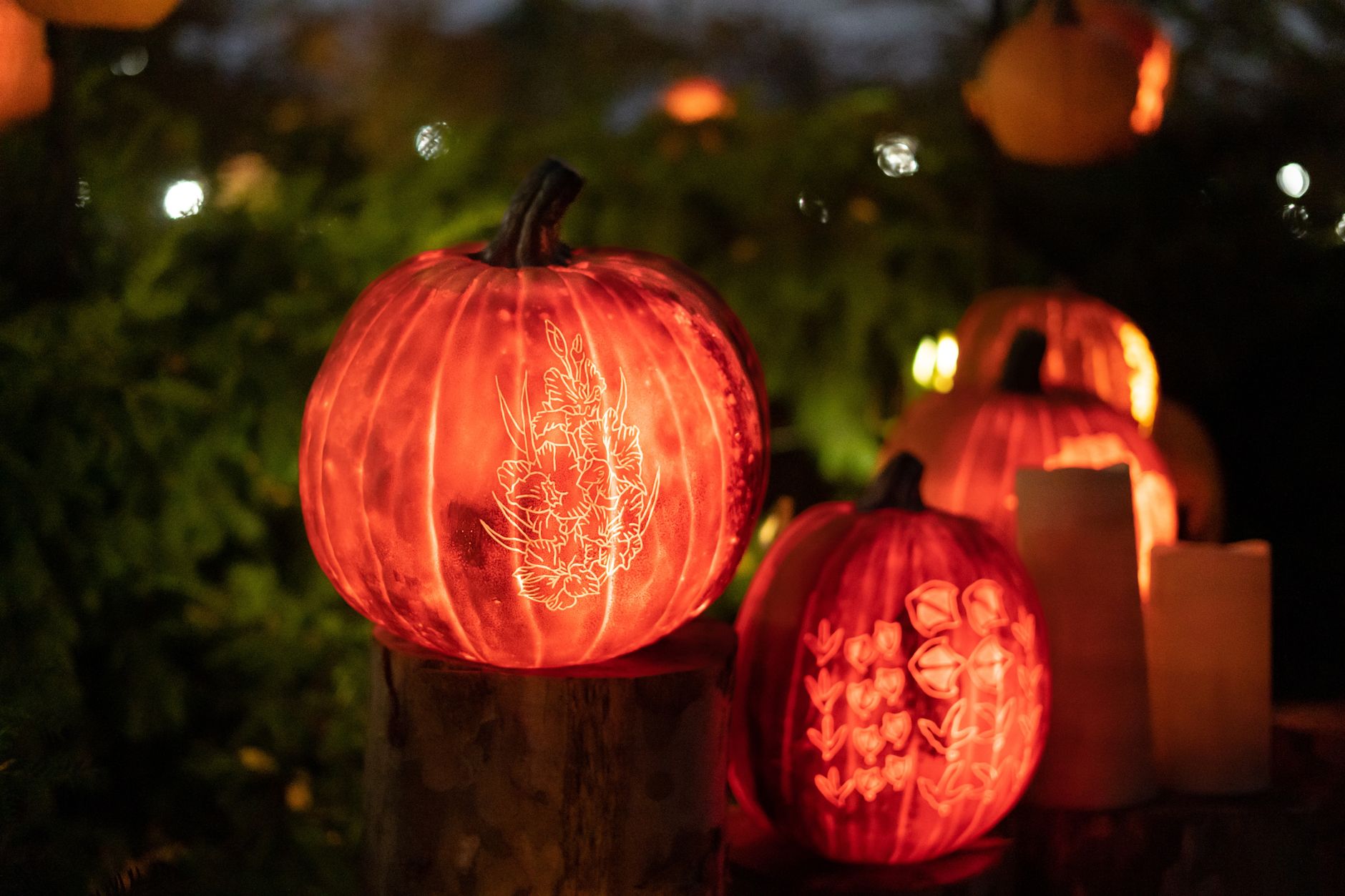 The Electrifying Jack-O-Lantern Experience: A Fall Family Wonder in the Poconos