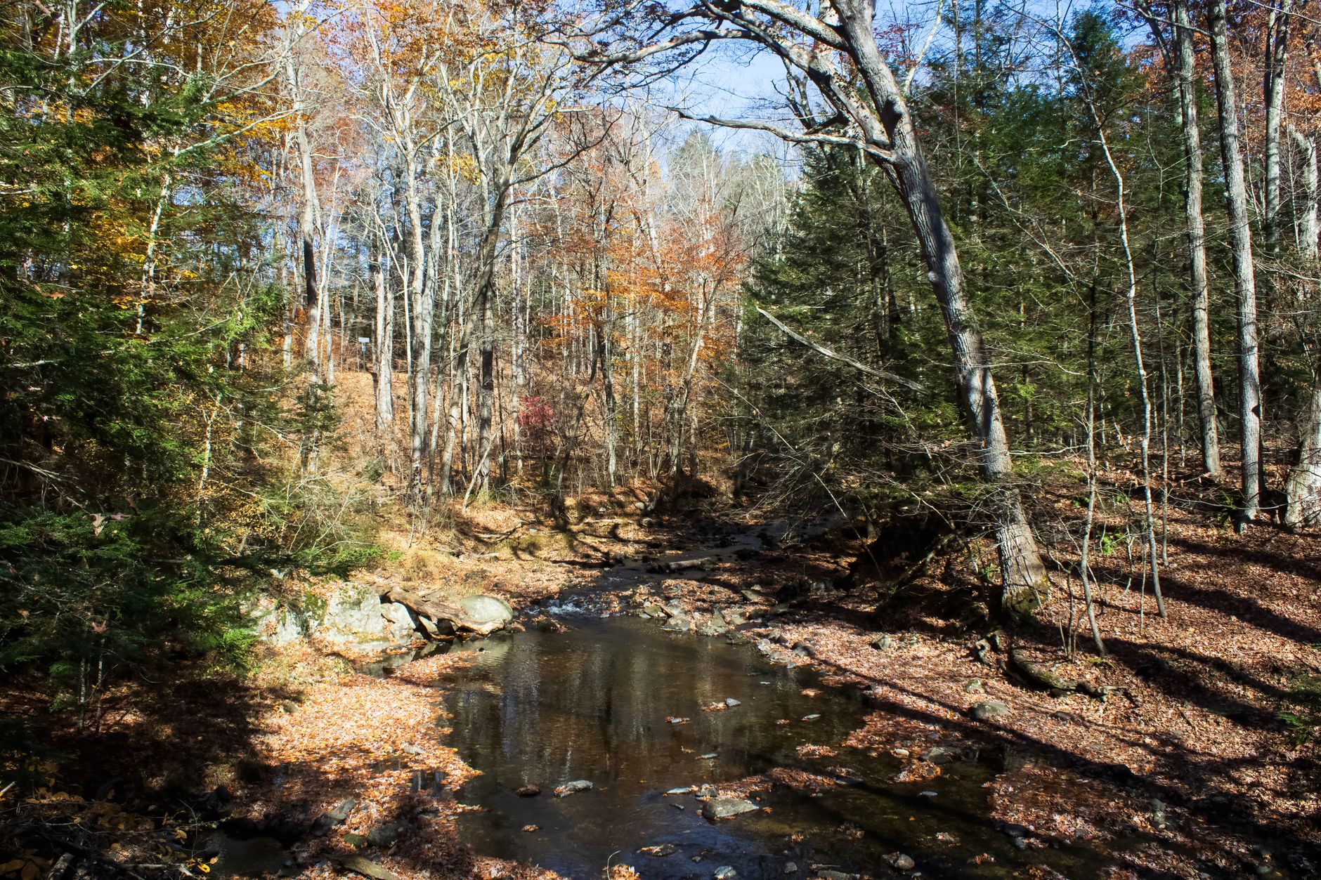 Peaceful autumn scene with a stream flowing through a forest in Amherst, Massachusetts.