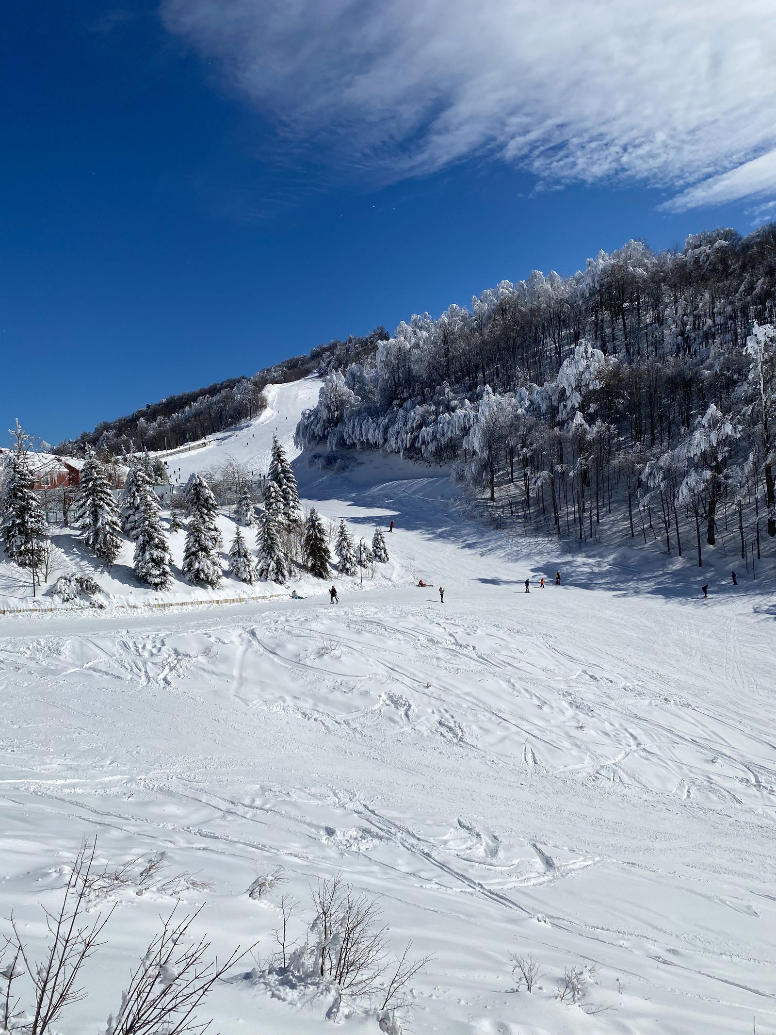 Shawnee Mountain: The Ultimate Family Adventure in the Poconos