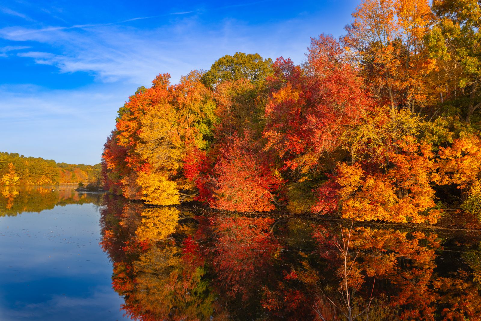 Stunning autumn foliage reflected in a tranquil lake in Southborough, Massachusetts.
