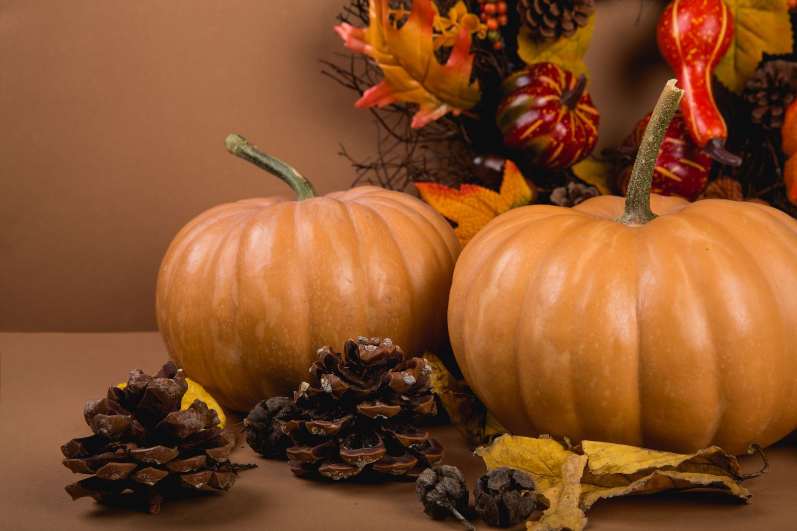 Warm autumn-themed still life featuring pumpkins and pine cones, perfect for seasonal decoration.