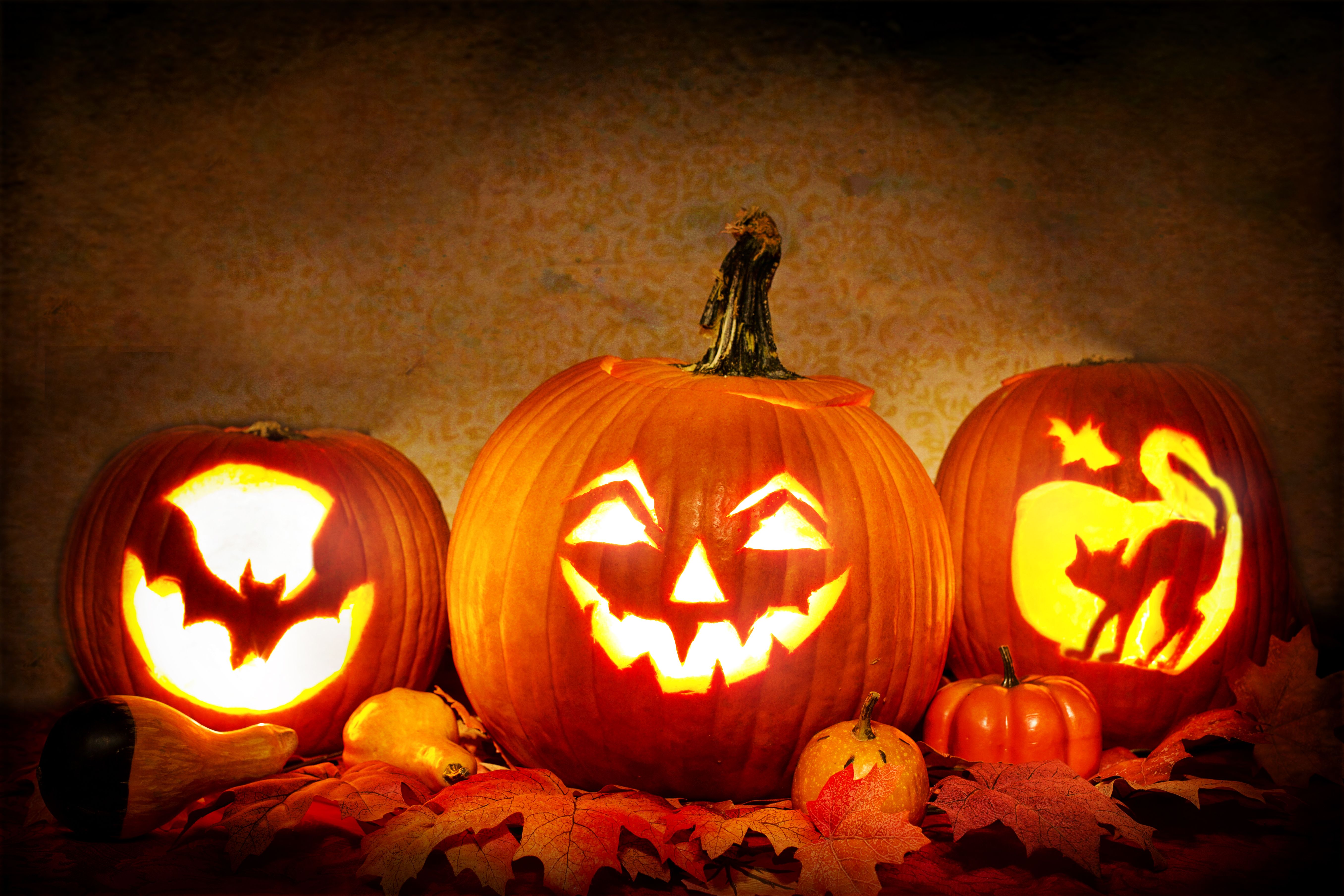 Illuminated carved pumpkins with intricate designs glowing warmly in a Halloween night setting.